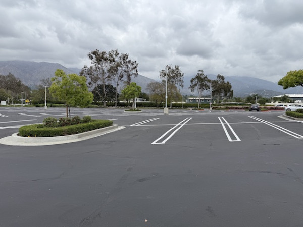 lost in the parking lot/dude where's my car